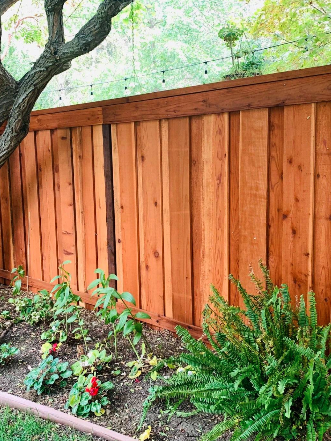 Fence Staining Near Me