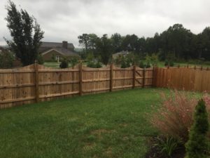 Photo of a Clean Bare Privacy Wood Fence